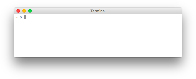 starting the terminal