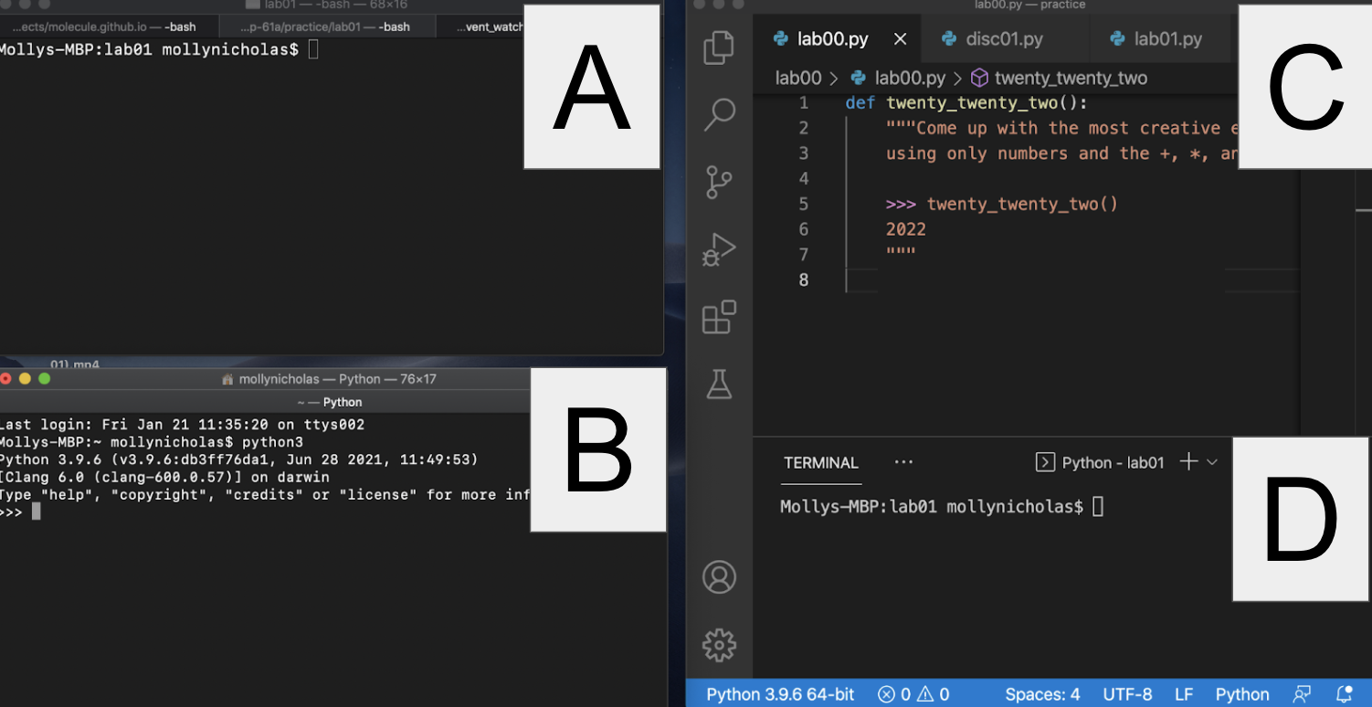 interpreter vs terminal